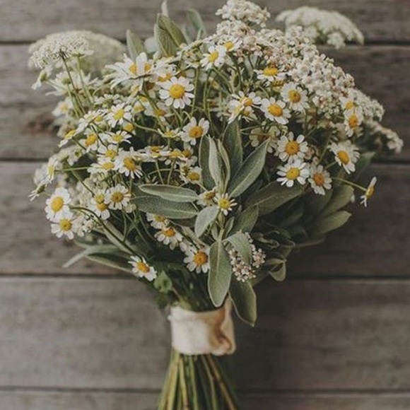 Meet your Posher, Jessica - Picture 1 of 1